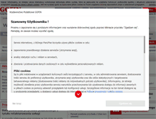 Tablet Screenshot of podatekdochodowy.pl